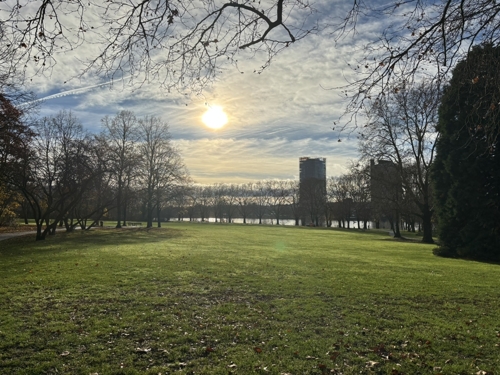 Beueler Rheinau/Blick Rhein