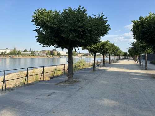 Rhein und Lebensqualität 