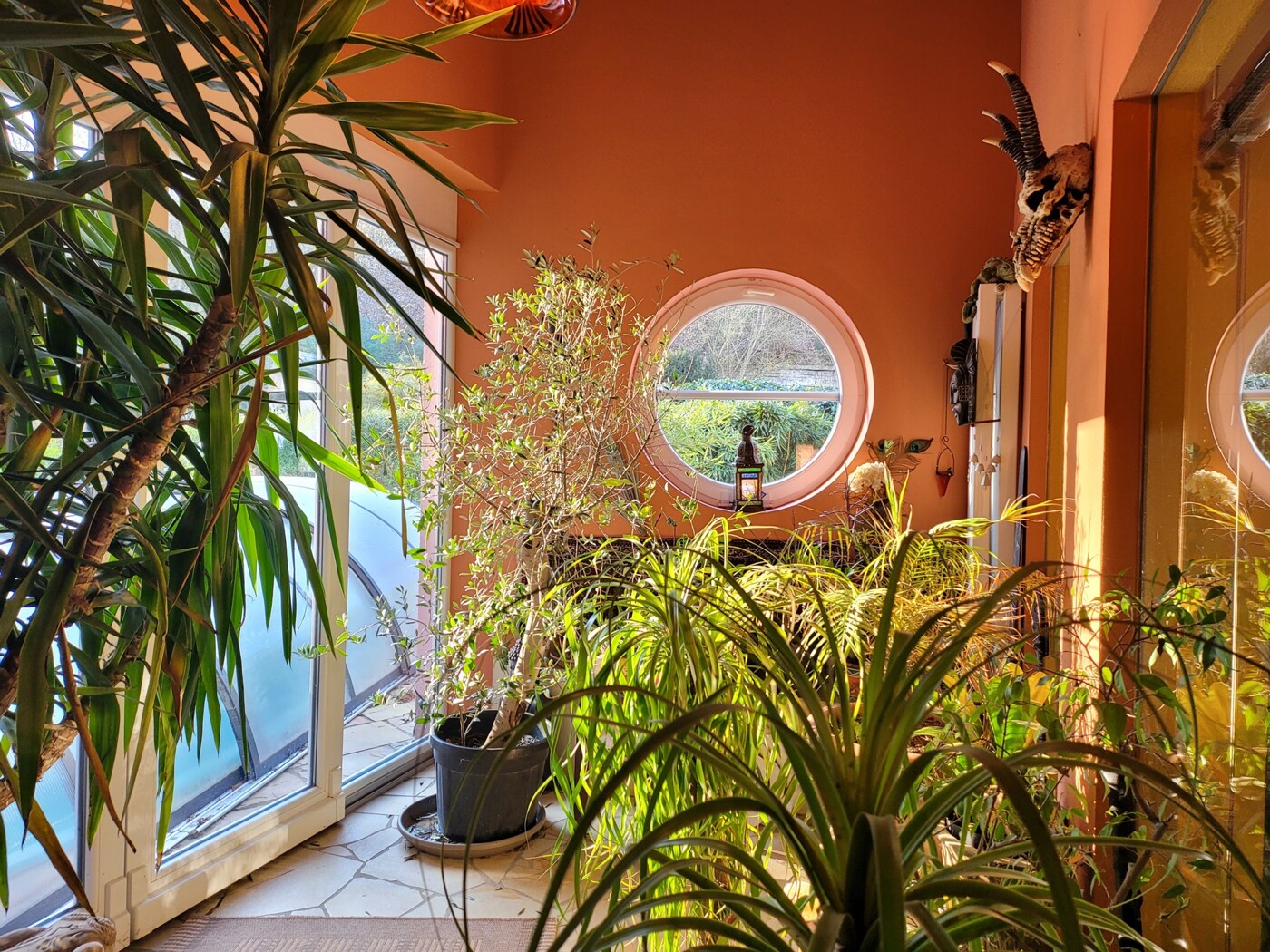 Wintergarten 2