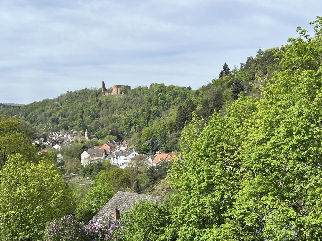 Blick zur Limburg