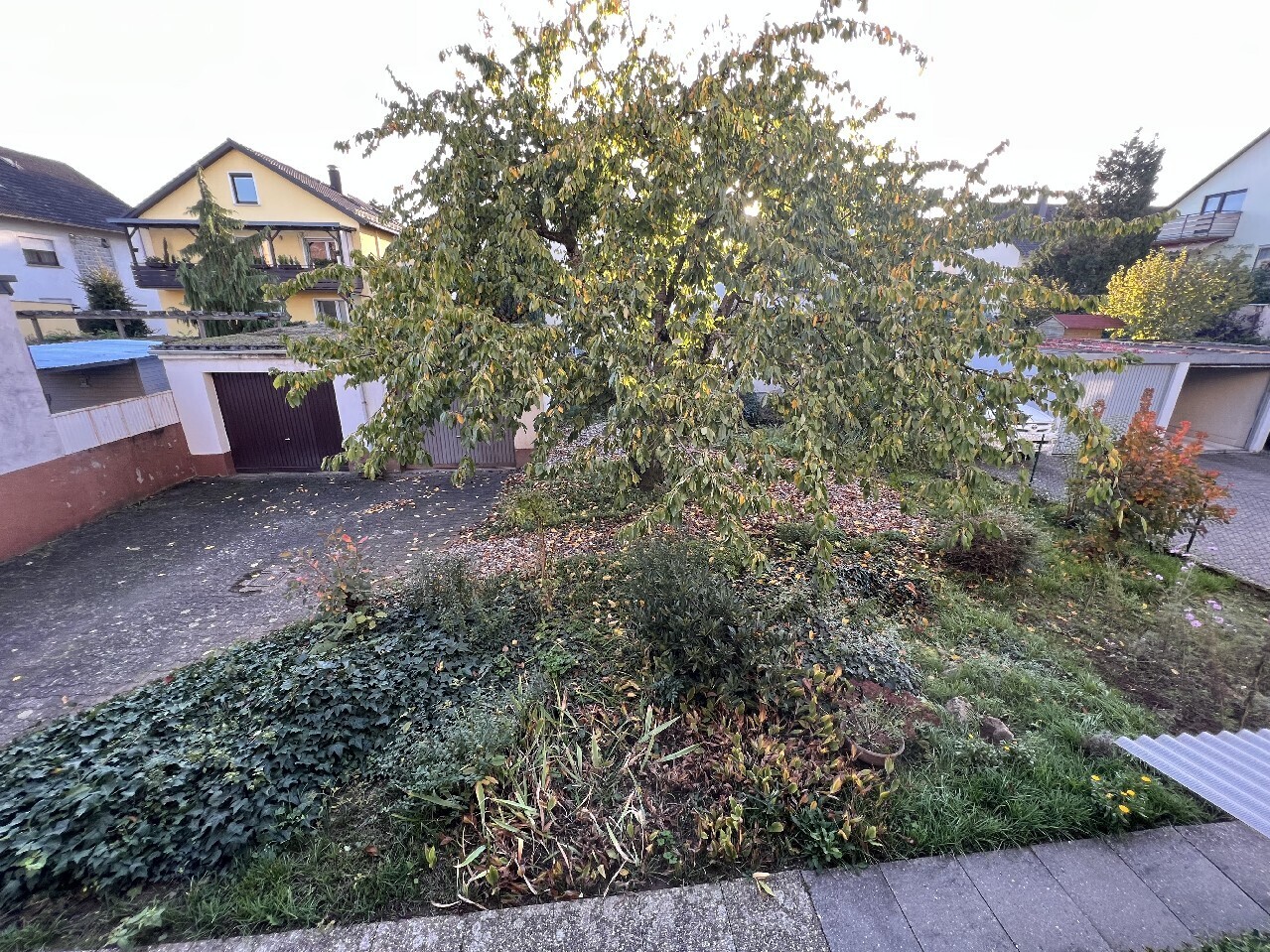 gemeinschaftlicher Garten