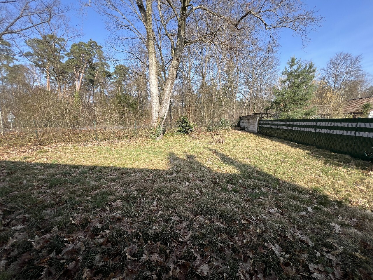 Grundstücksansicht 2