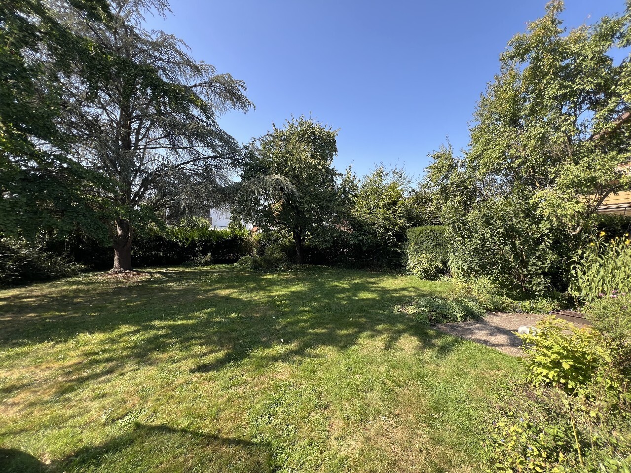 gemeinschaftlicher Garten