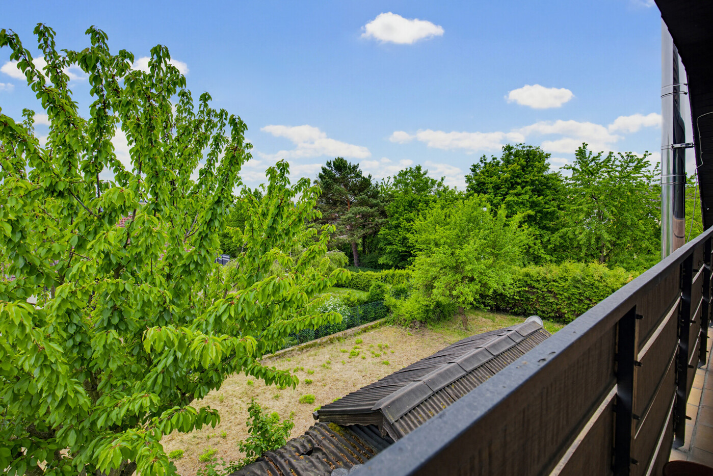 Blick in den Garten 