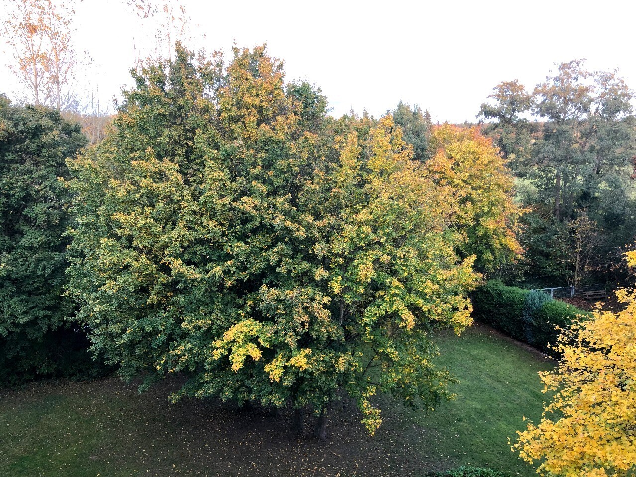 Blick vom Balkon