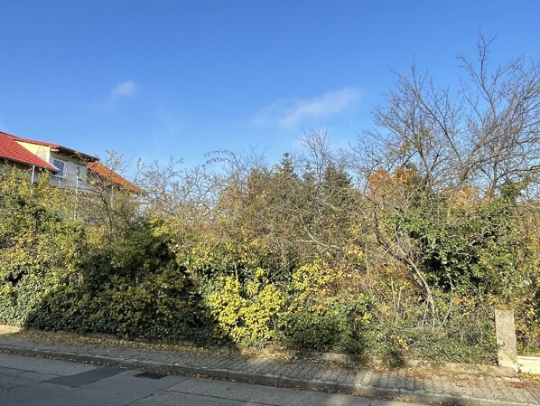 Grundstück - Straßenansicht