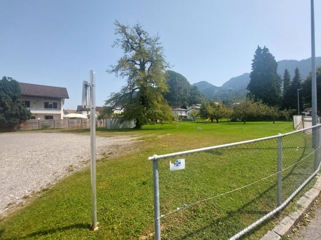 Ansicht
