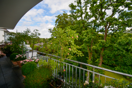 Blick vom Balkon