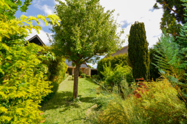 Blick vom Garten auf das Haus