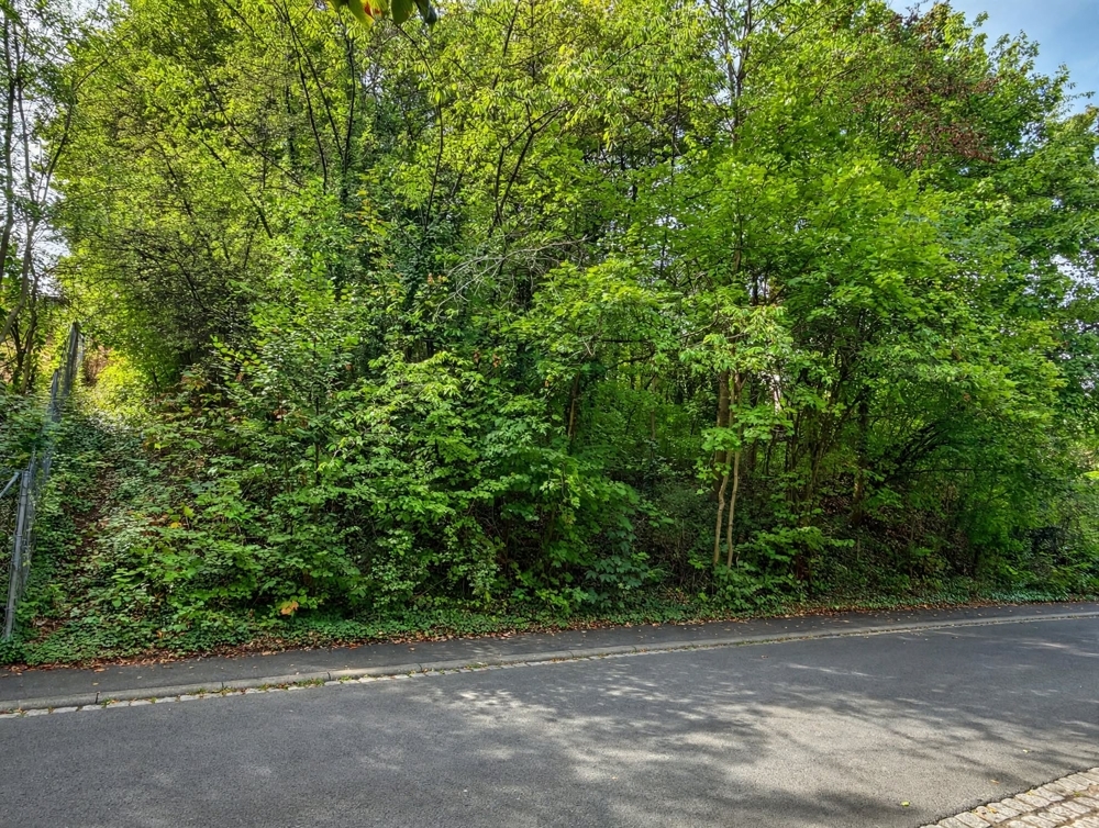 Real Estate Title Image Background