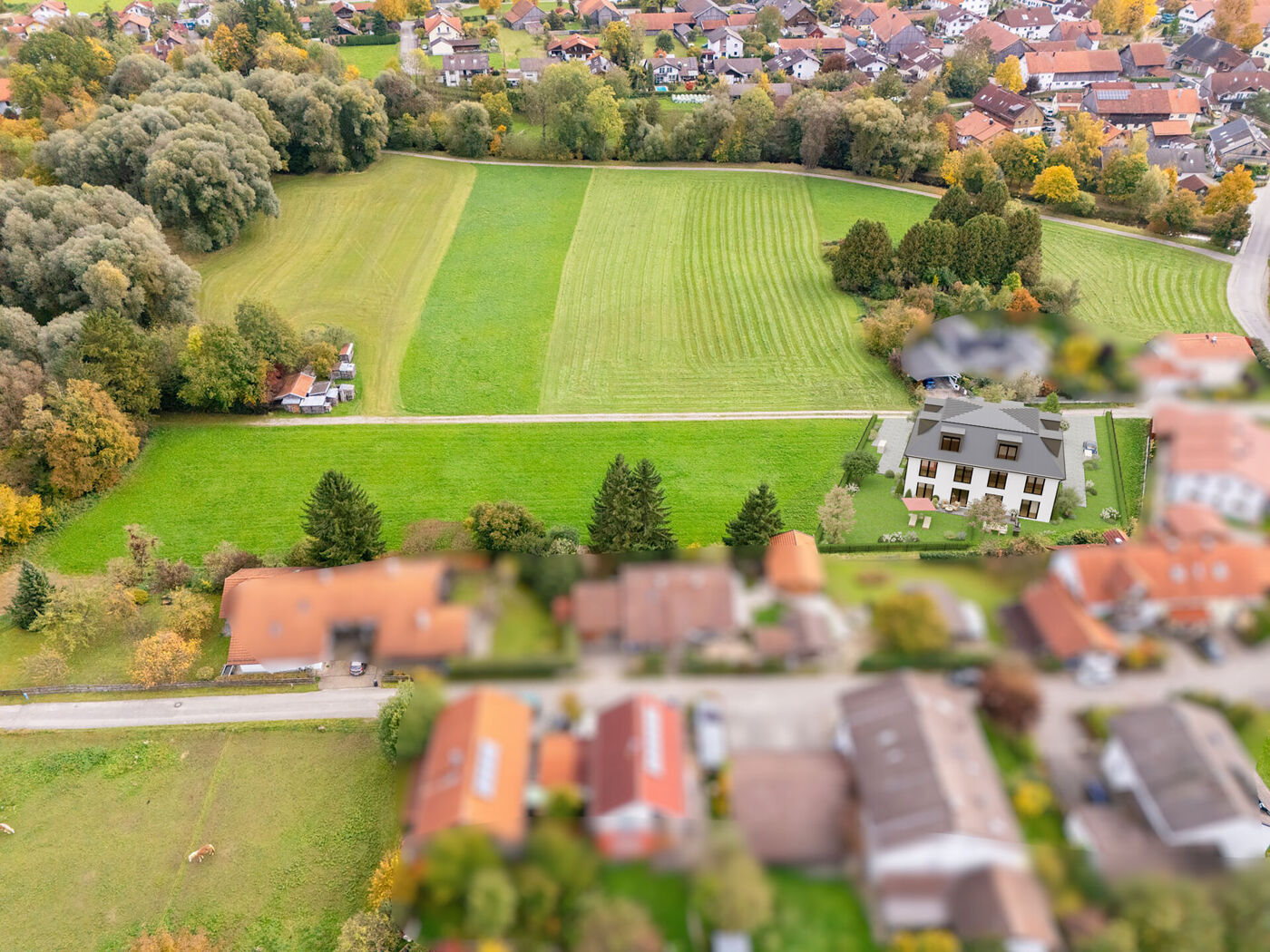 Visualisierung Doppelhaus