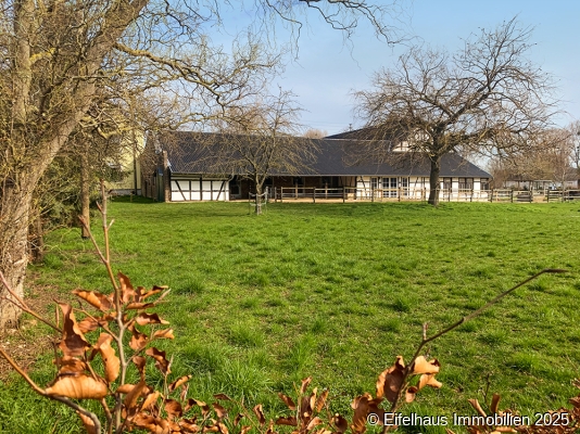 Blick auf Pferdetrakt