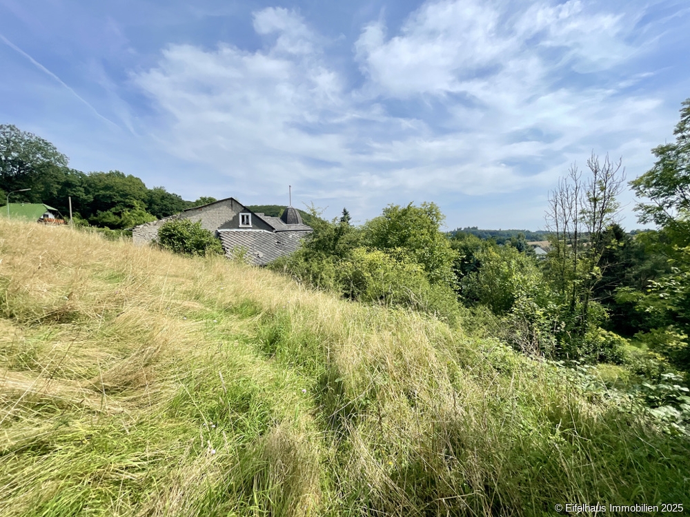Ansicht von hinten, Straße Bergfried