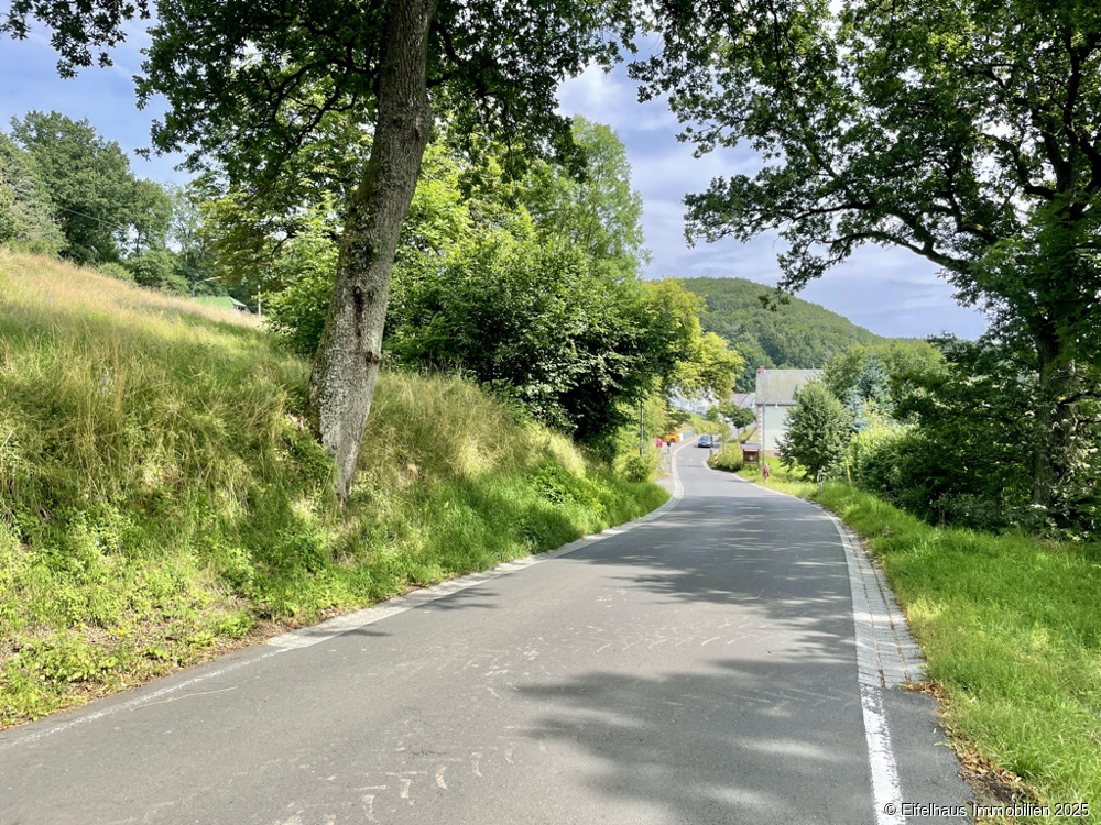 Zufahrt nach Berenbach