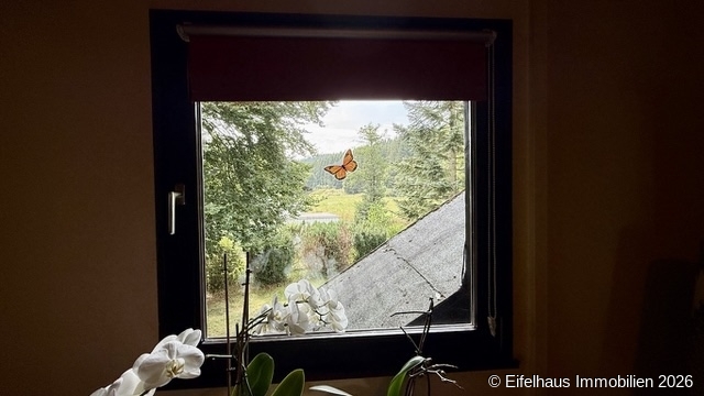 Blick in die Natur - von jedem Fenster
