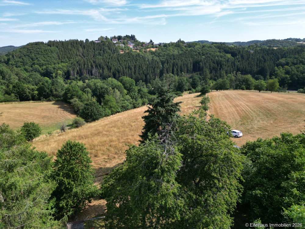 Luftaufnahme Blick aus dem Garten