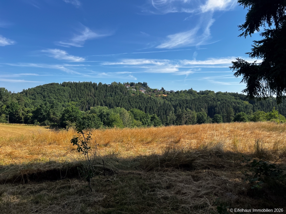 Blick aus dem Garte 