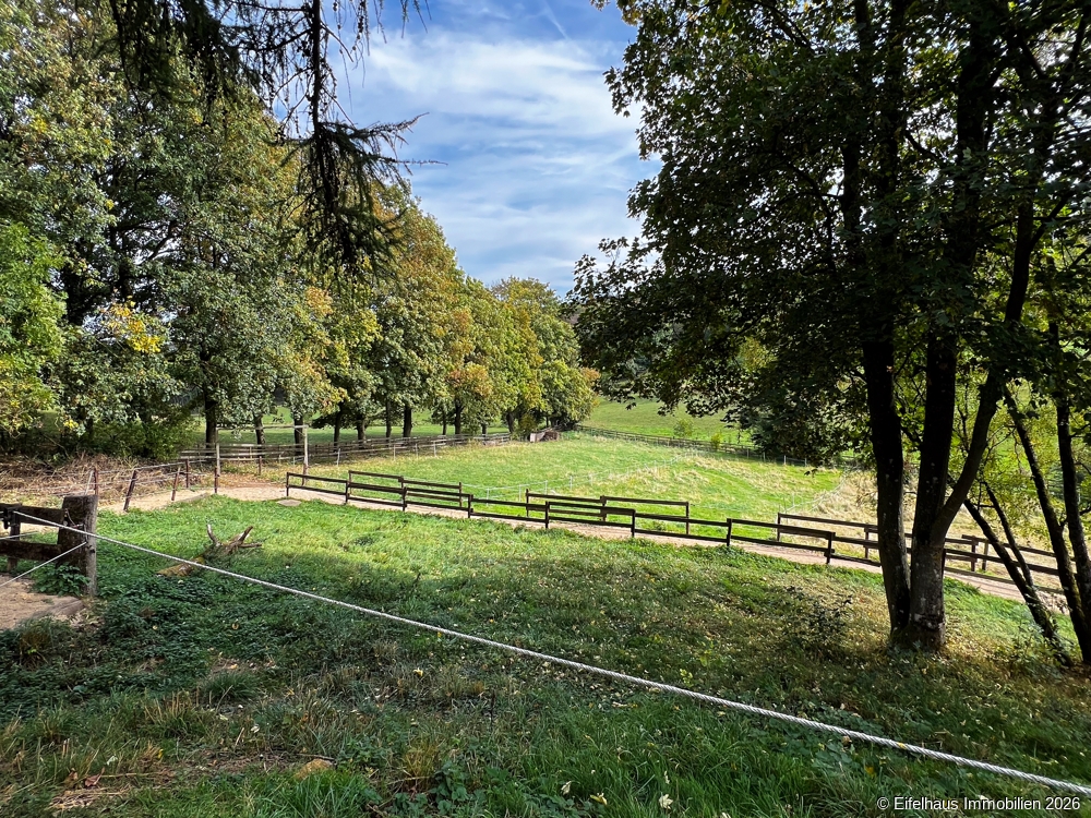 Blick auf Weideflächen