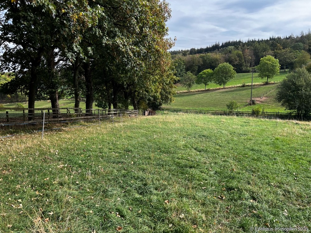 Weideland, , Blick nach Süden 