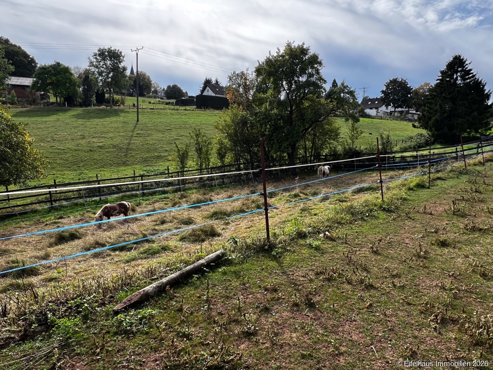 Weideland, Blick nach Westen 
