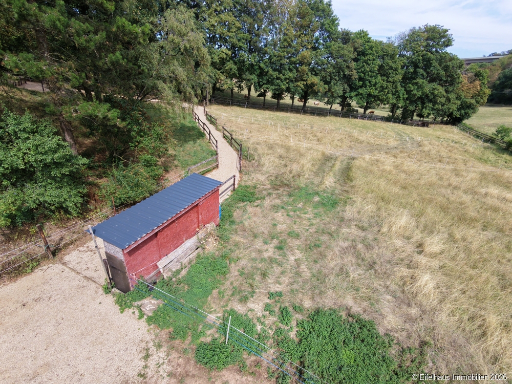 Luftaufnahme Weide
