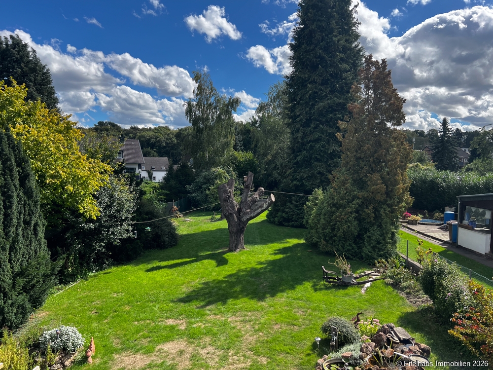Blick in den Garten