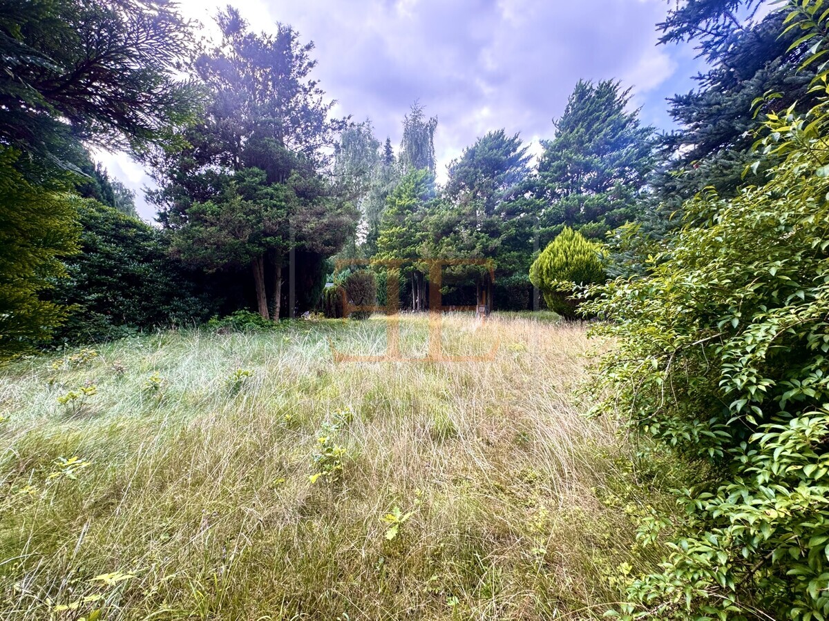 Grundstücksansicht aus Osten