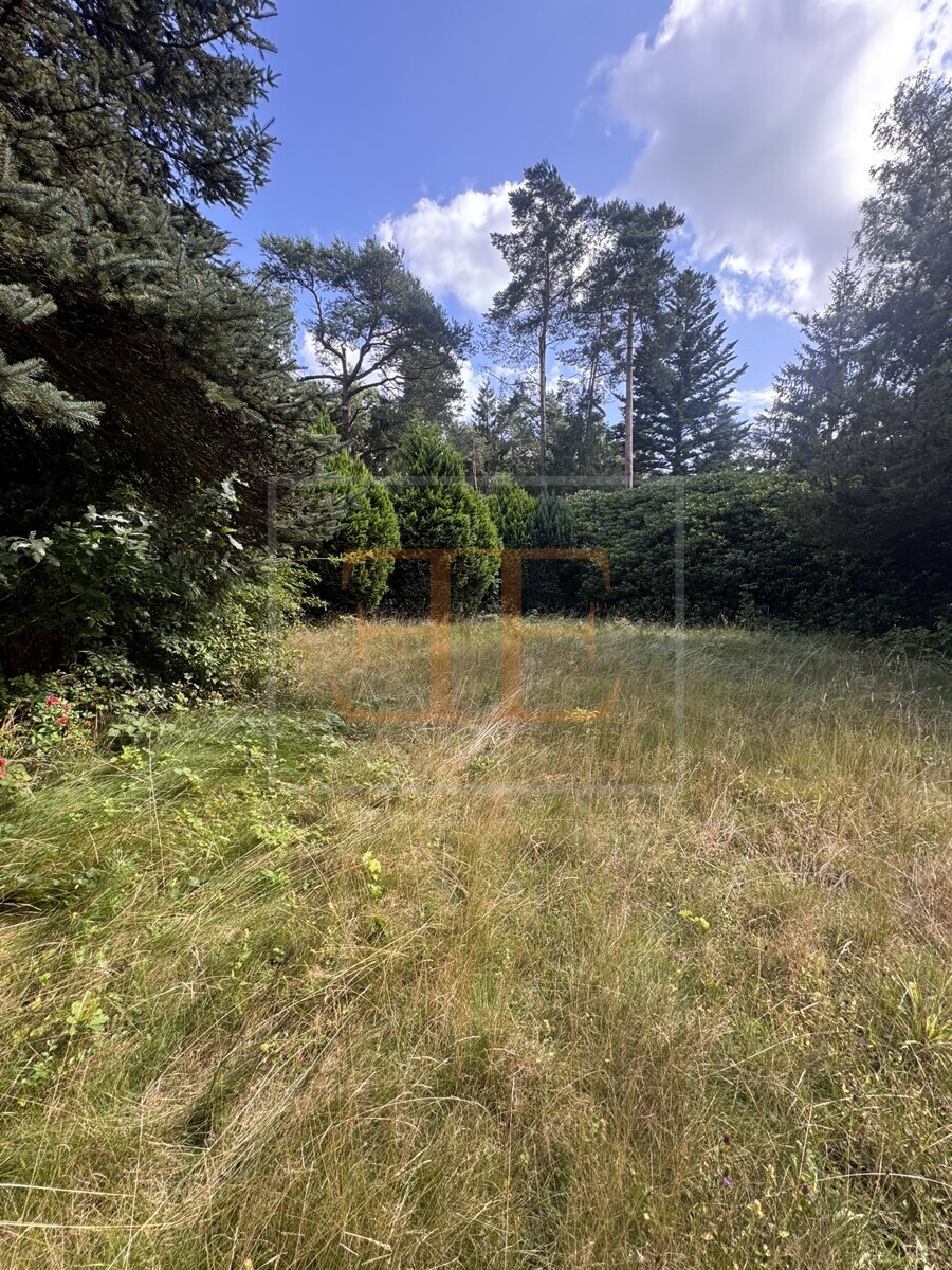 Grundstücksansicht aus Nordosten