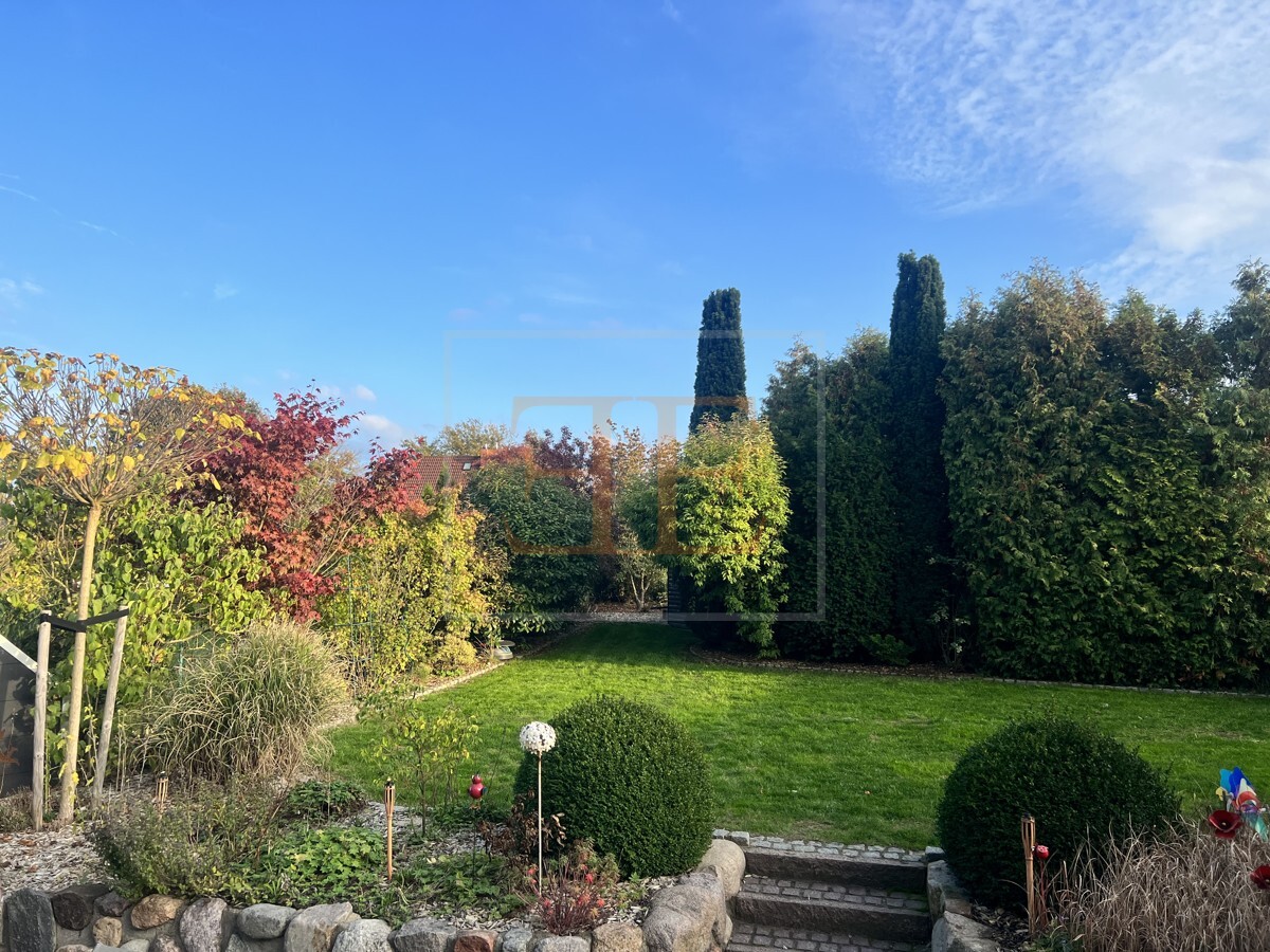 Blick in den Garten