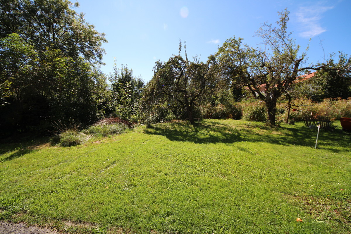 Blick auf das Grundstück