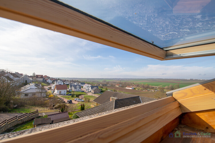 DG - Fensterausblick