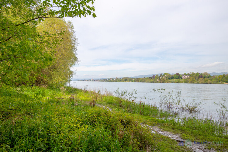 Rheinufer Naturschutzgebiet