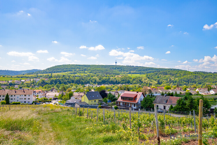 Landschaft / Umgebung