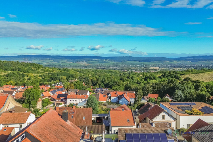 Aussicht in den Rheingau