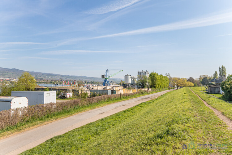 Rheindamm mit Ausblick