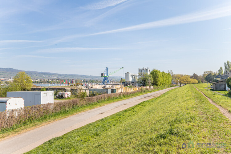 Rheindamm / Umgebung