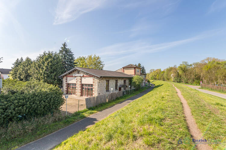 Rheindamm / Umgebung