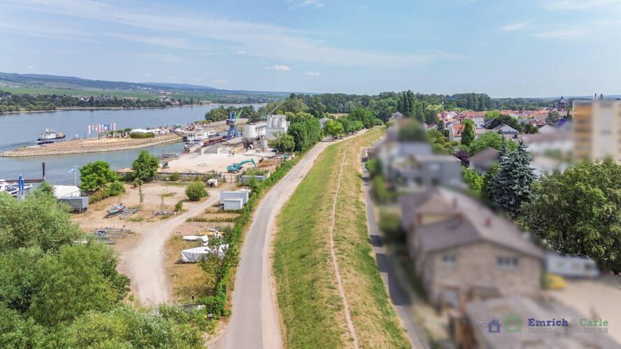Rheindamm und Spazierwege