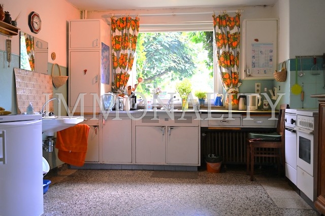 Küche, Fenster