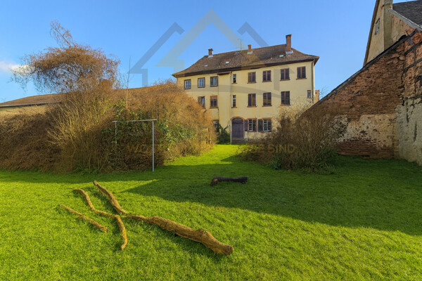 Großer Garten hinterm Haus