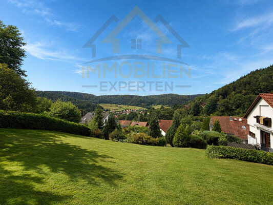 Talblick von oben