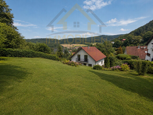 Talblick mit KI Haus