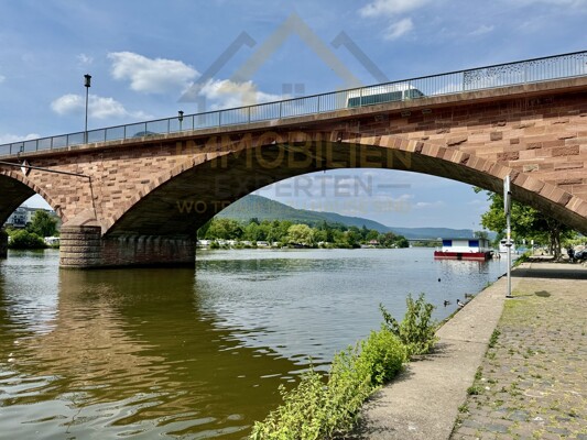Urlaubsgefühle am Main