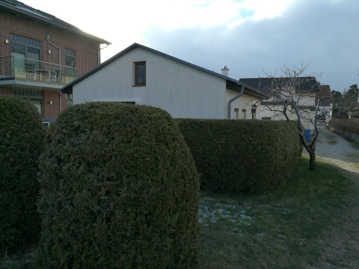 WhatsApp Bild 2025-11-04 um 17.23.14_a7388acc