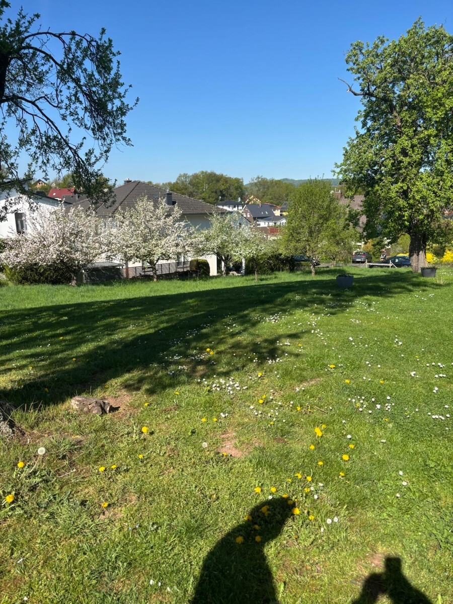 WhatsApp Bild 2025-06-16 um 16.51.14_ba4fca65