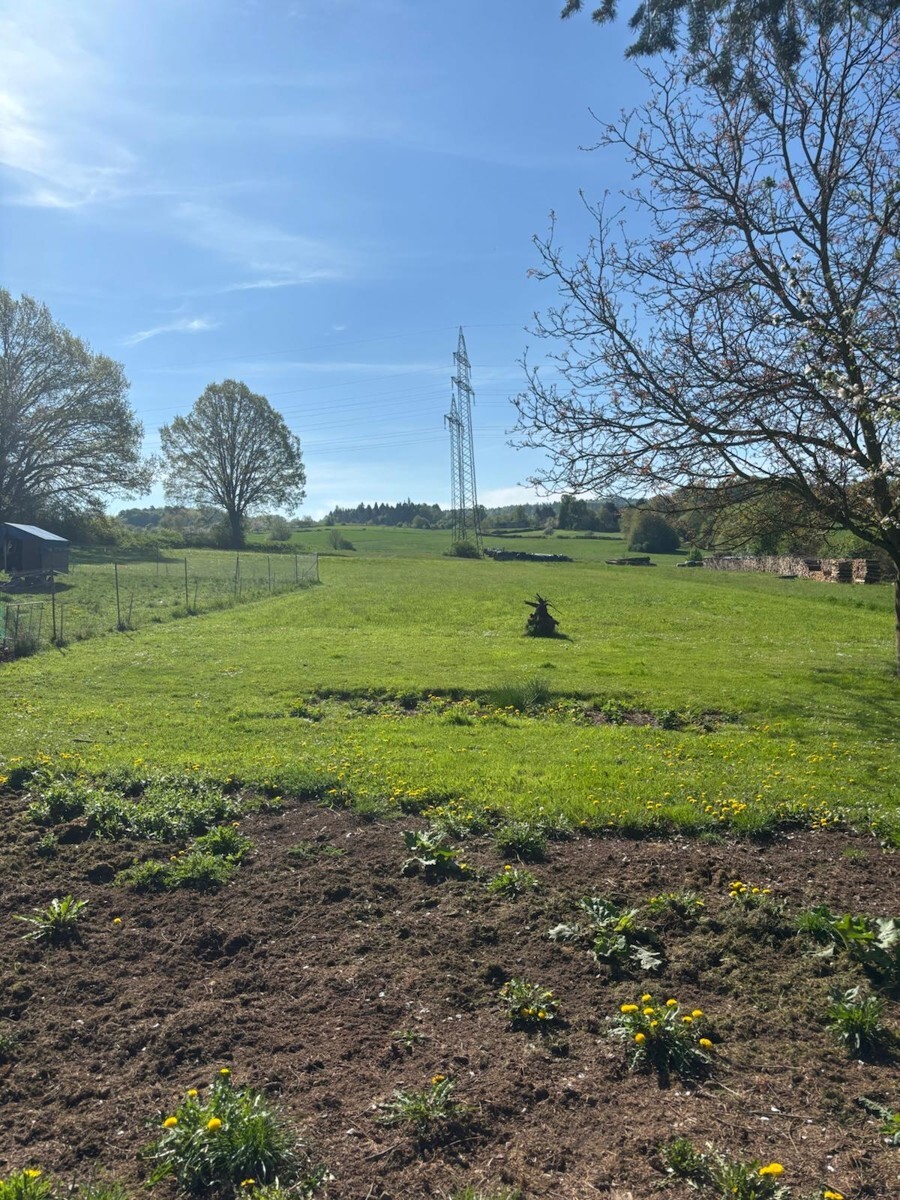 WhatsApp Bild 2025-06-16 um 16.51.14_e8998fcf