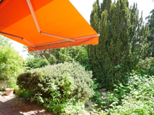 Terrasse - Südseite 1