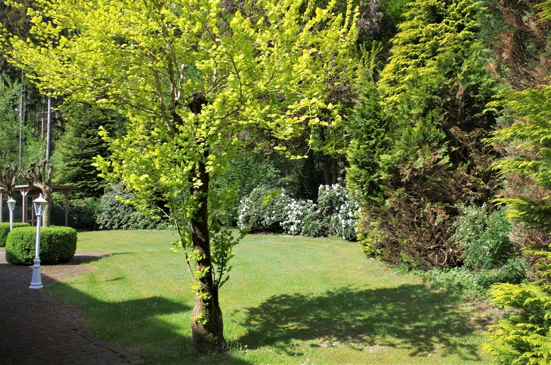Für Liebhaber: Fachwerkhaus auf Traumgrundstück mit Baupotenzial – 20