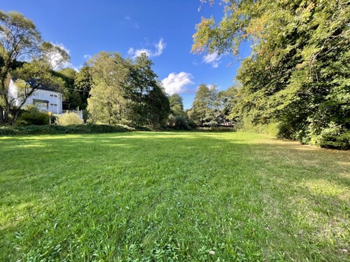 Großzügige Grünfläche