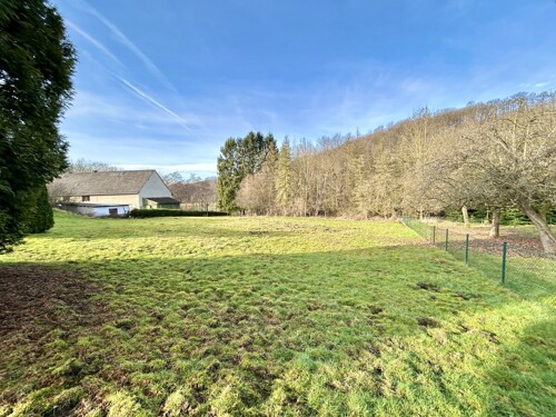 Weitläufige Wiesenfläche